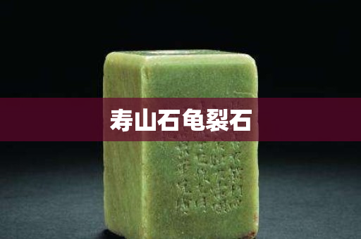 寿山石龟裂石