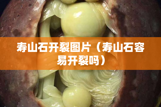 寿山石开裂图片（寿山石容易开裂吗）