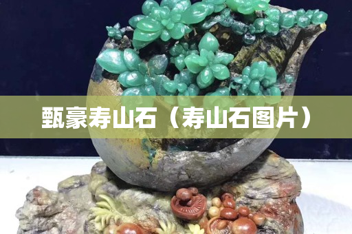 甄豪寿山石（寿山石图片）