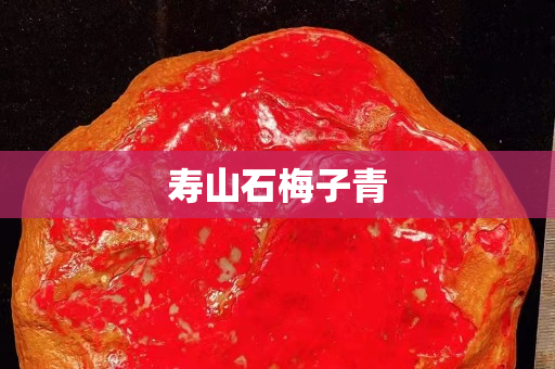 寿山石梅子青