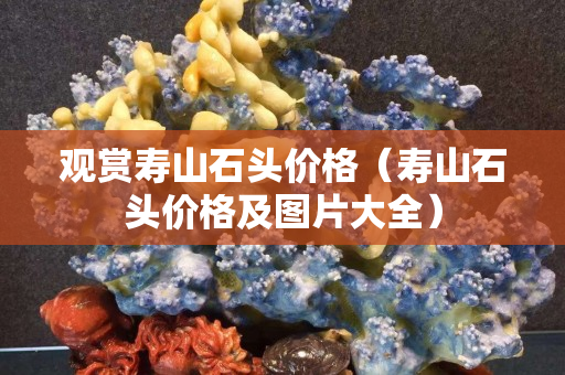 观赏寿山石头价格（寿山石头价格及图片大全）