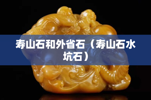 寿山石和外省石（寿山石水坑石）