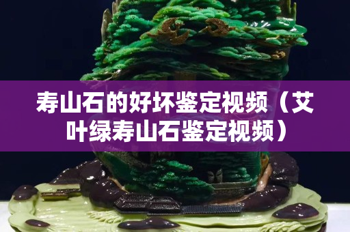 寿山石的好坏鉴定视频（艾叶绿寿山石鉴定视频）