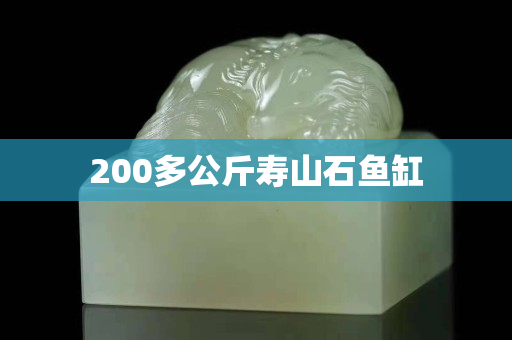 200多公斤寿山石鱼缸