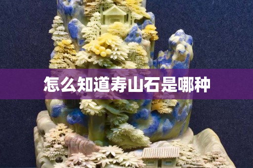 怎么知道寿山石是哪种