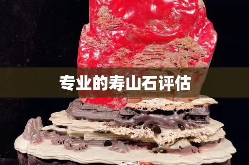 专业的寿山石评估