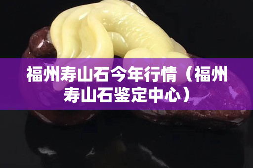 福州寿山石今年行情（福州寿山石鉴定中心）