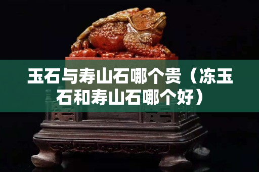 玉石与寿山石哪个贵（冻玉石和寿山石哪个好）