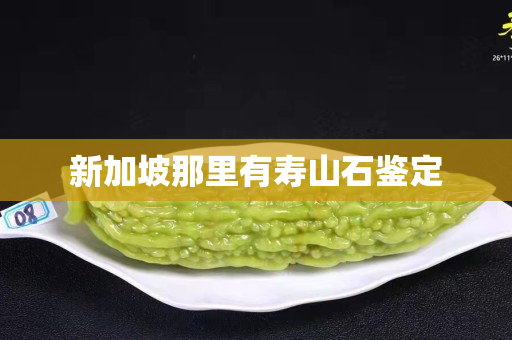新加坡那里有寿山石鉴定
