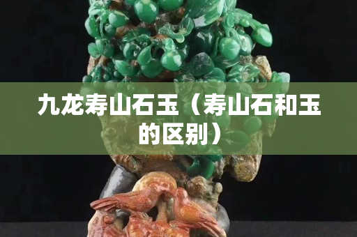 九龙寿山石玉（寿山石和玉的区别）