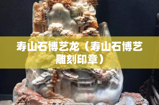 寿山石博艺龙（寿山石博艺雕刻印章）