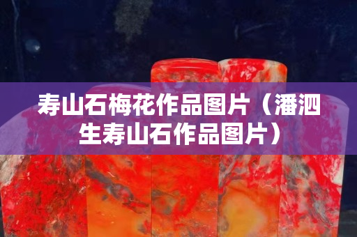 寿山石梅花作品图片（潘泗生寿山石作品图片）
