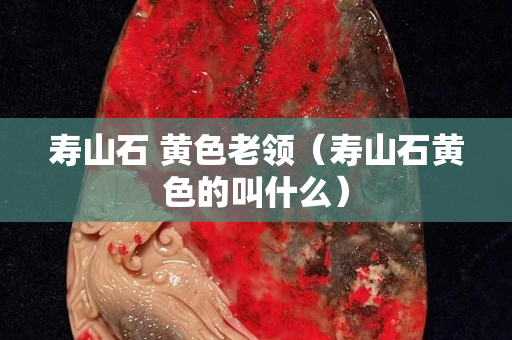 寿山石 黄色老领（寿山石黄色的叫什么）
