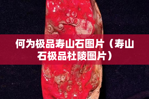 何为极品寿山石图片（寿山石极品杜陵图片）