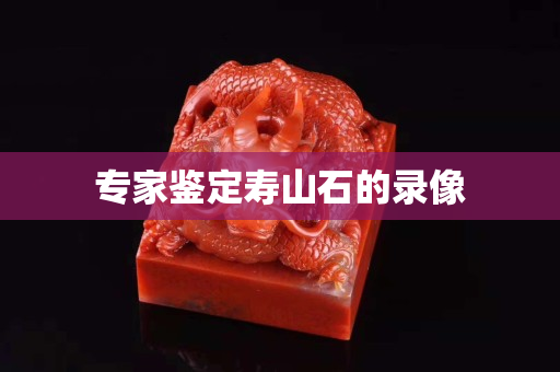 专家鉴定寿山石的录像