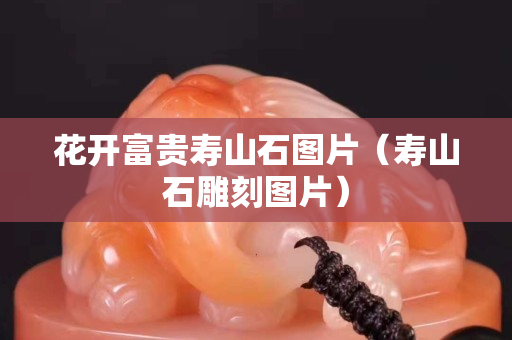 花开富贵寿山石图片（寿山石雕刻图片）