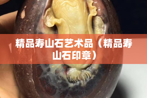 精品寿山石艺术品（精品寿山石印章）