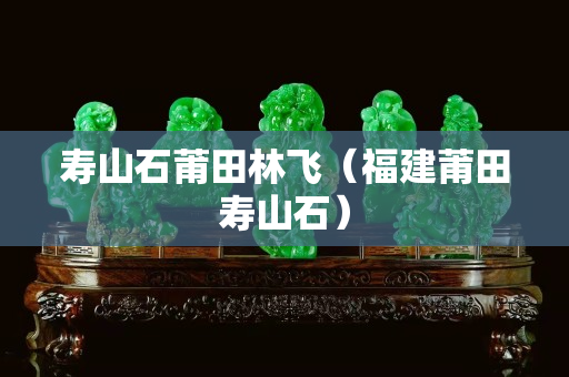 寿山石莆田林飞（福建莆田寿山石）