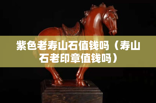紫色老寿山石值钱吗（寿山石老印章值钱吗）