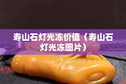 寿山石灯光冻价值（寿山石灯光冻图片）