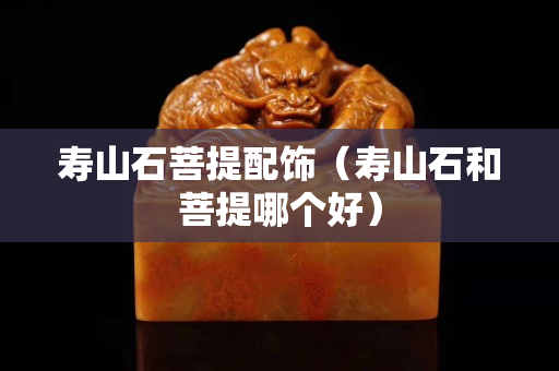 寿山石菩提配饰（寿山石和菩提哪个好）