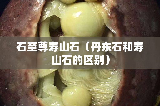 石至尊寿山石（丹东石和寿山石的区别）