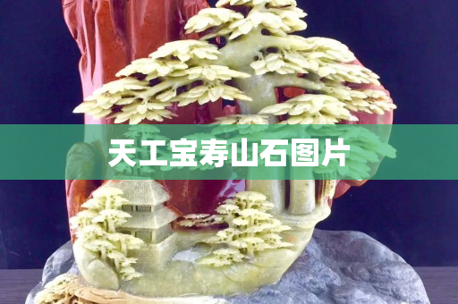 天工宝寿山石图片