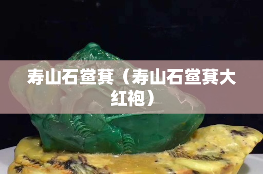 寿山石鲎萁（寿山石鲎萁大红袍）