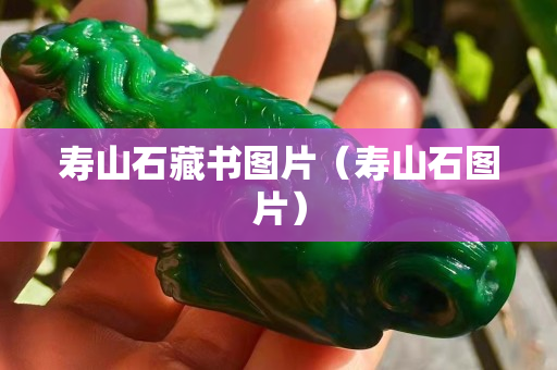 寿山石藏书图片（寿山石图片）