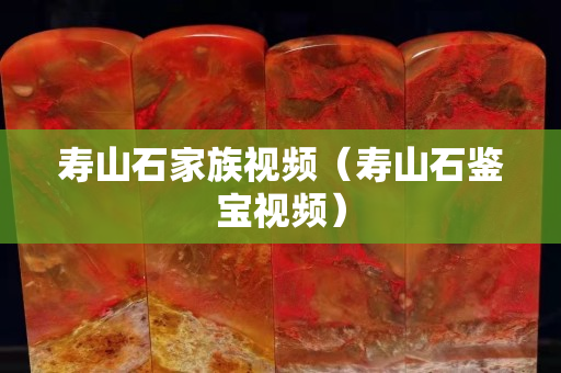 寿山石家族视频（寿山石鉴宝视频）