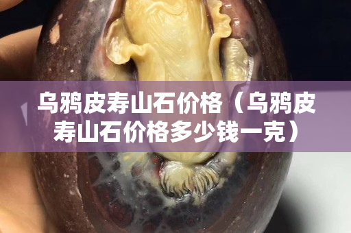 乌鸦皮寿山石价格（乌鸦皮寿山石价格多少钱一克）