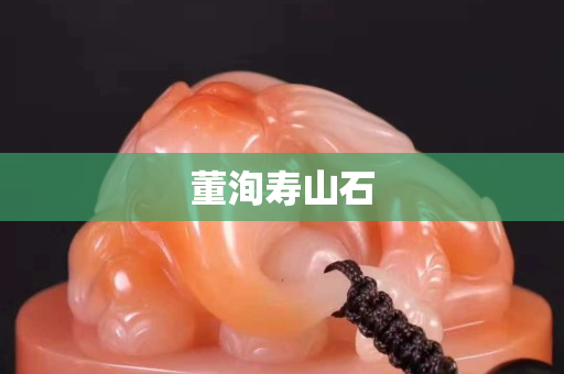 董洵寿山石
