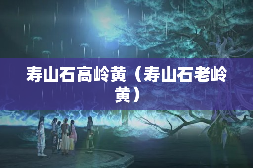 寿山石高岭黄（寿山石老岭黄）