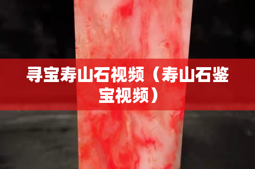 寻宝寿山石视频（寿山石鉴宝视频）