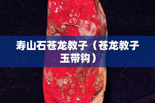 寿山石苍龙教子（苍龙教子玉带钩）