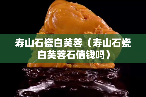 寿山石瓷白芙蓉（寿山石瓷白芙蓉石值钱吗）