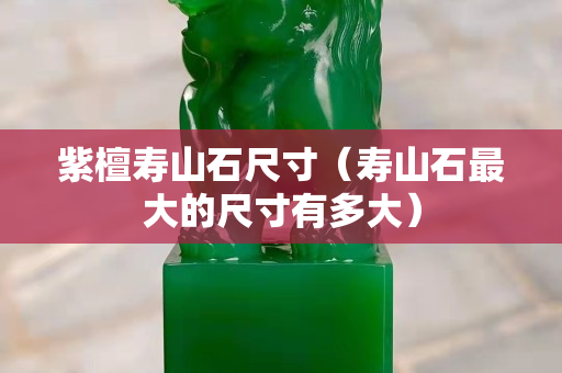 紫檀寿山石尺寸（寿山石最大的尺寸有多大）