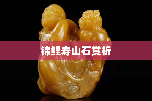 锦鲤寿山石赏析