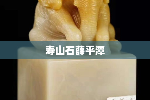 寿山石薛平潭