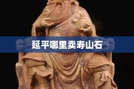 延平哪里卖寿山石