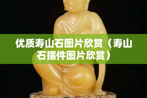 优质寿山石图片欣赏（寿山石摆件图片欣赏）
