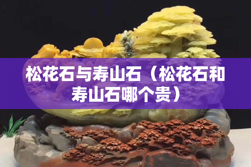 松花石与寿山石（松花石和寿山石哪个贵）