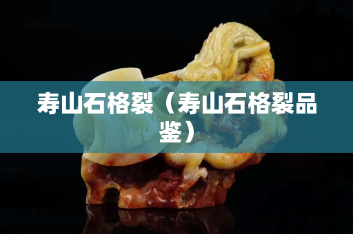 寿山石格裂（寿山石格裂品鉴）