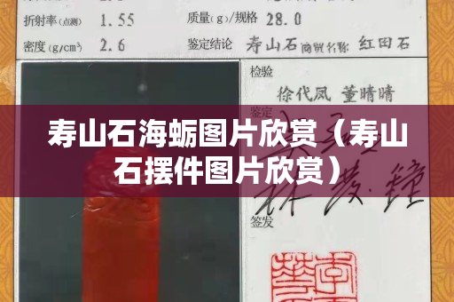 寿山石海蛎图片欣赏（寿山石摆件图片欣赏）