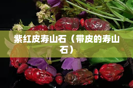 紫红皮寿山石（带皮的寿山石）