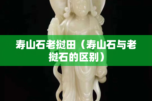 寿山石老挝田（寿山石与老挝石的区别）