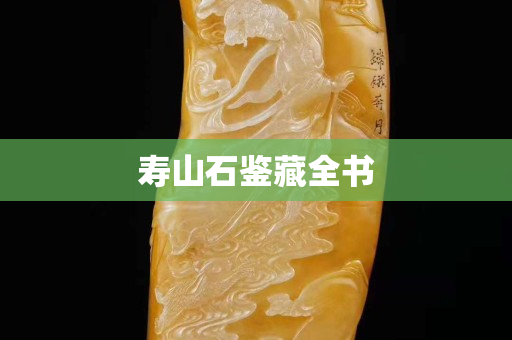 寿山石鉴藏全书
