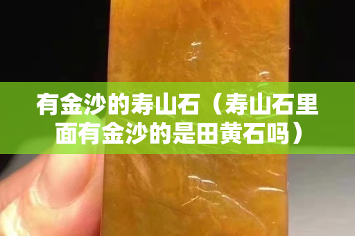 有金沙的寿山石（寿山石里面有金沙的是田黄石吗）