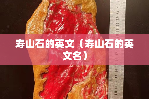 寿山石的英文（寿山石的英文名）