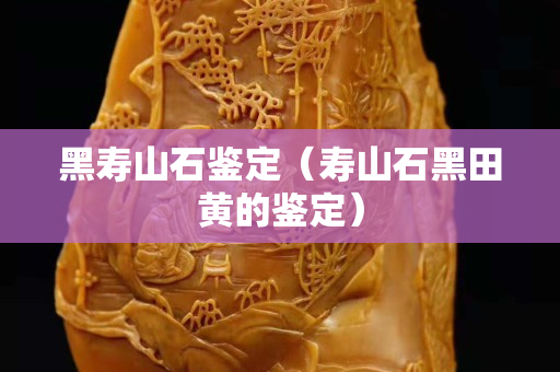 黑寿山石鉴定（寿山石黑田黄的鉴定）